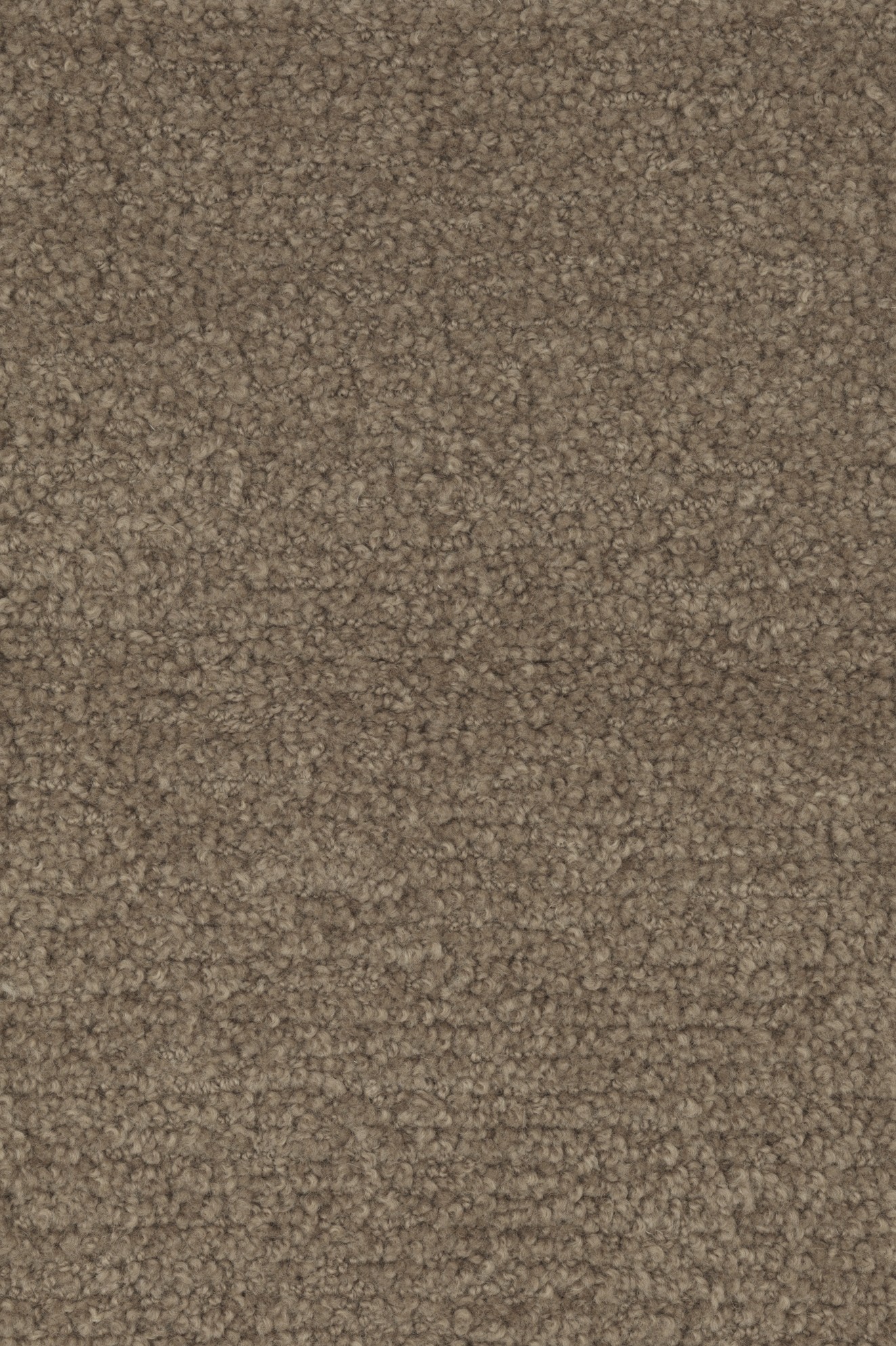 PROPERTY_MEDIA_emovib_364_1682846