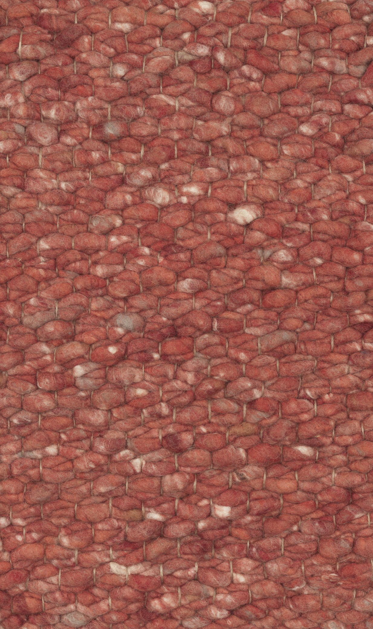 PROPERTY_MEDIA_sasrav_113_1681890