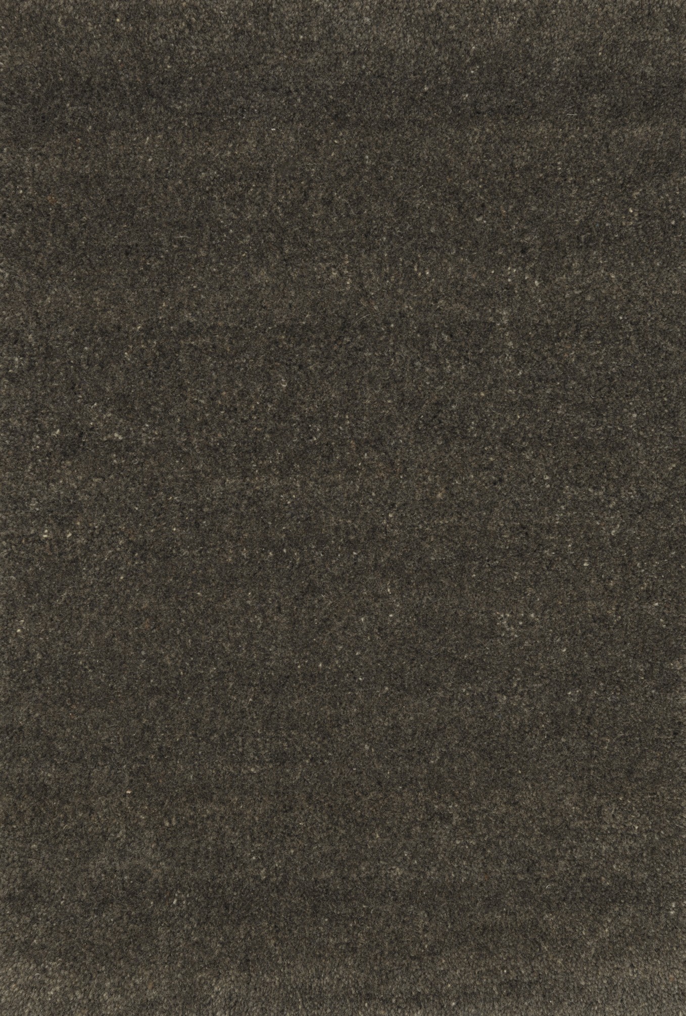 Emotion Sahara