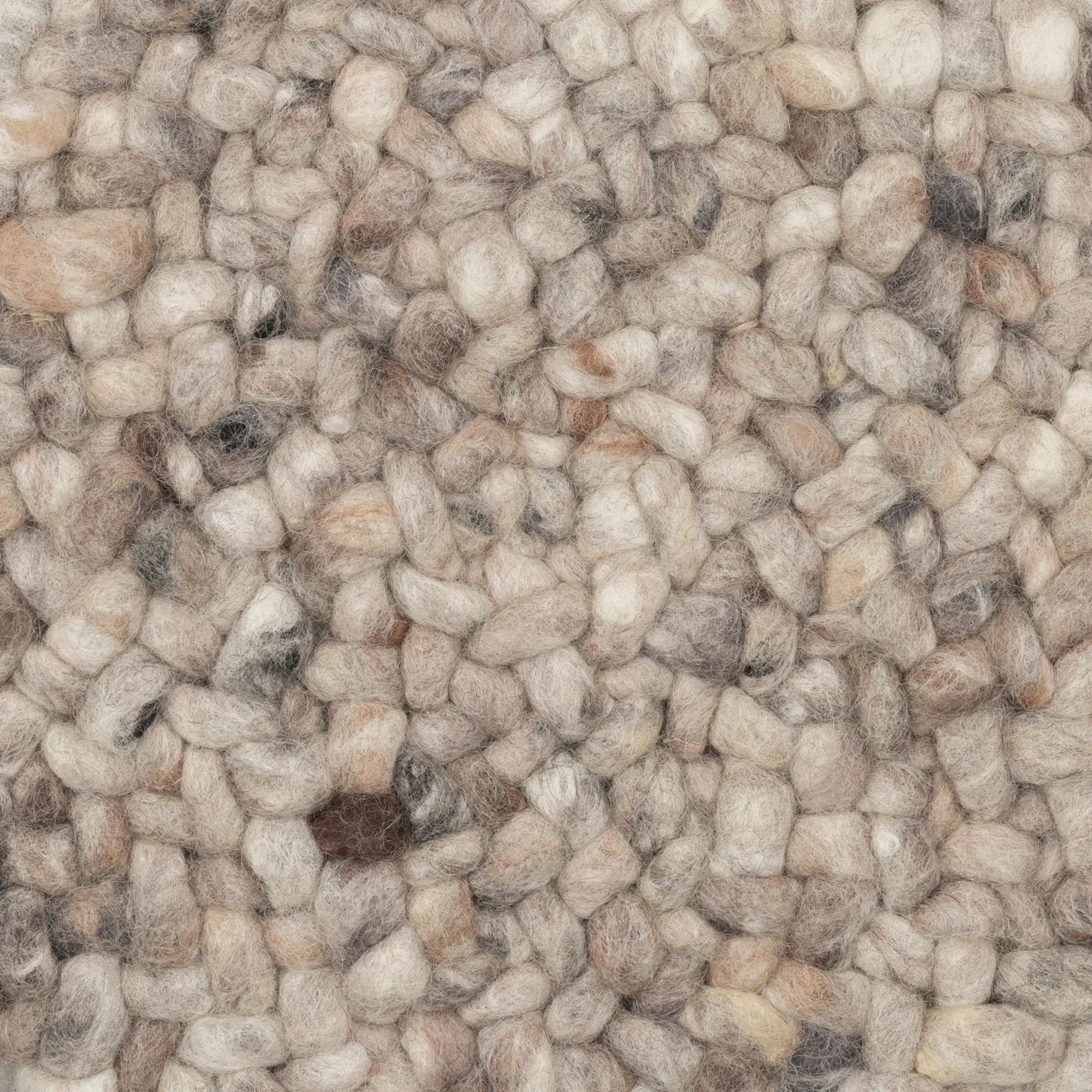 sasjam_469_87174