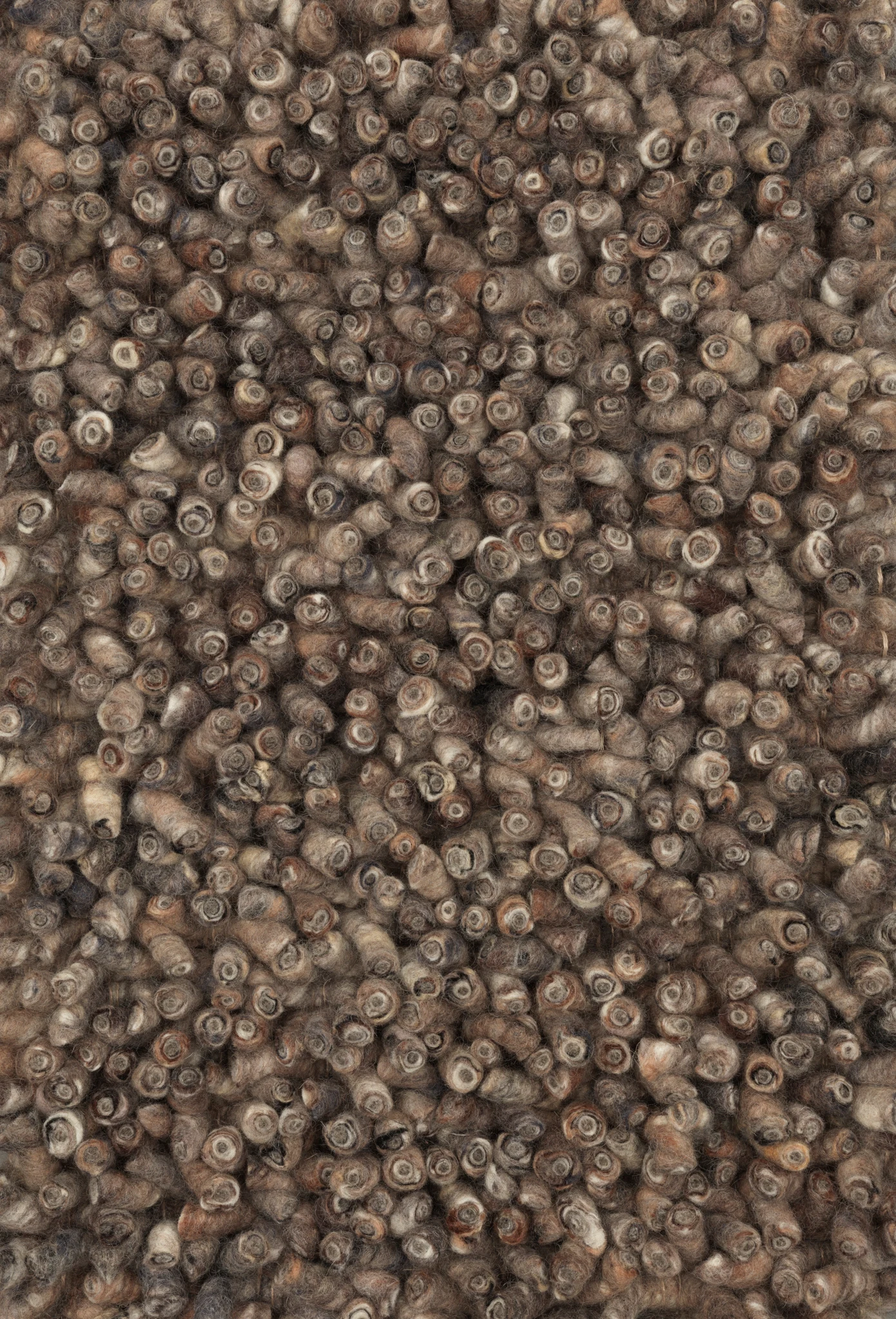 sasgro_468_87128