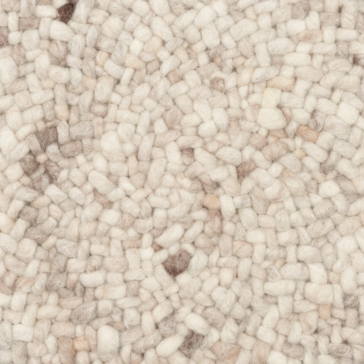 Salsa Tortuga Salsa Tortuga