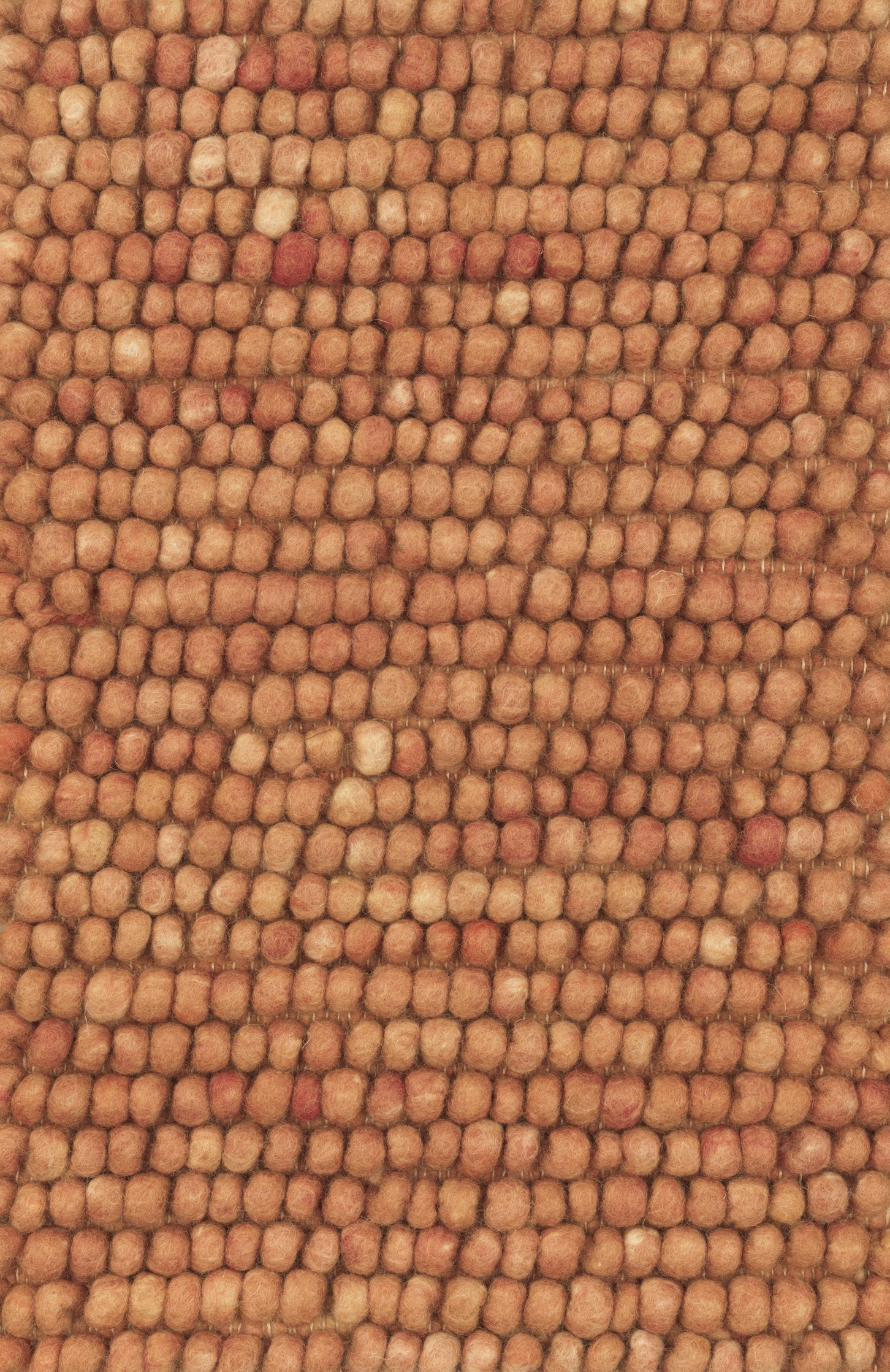 PROPERTY_MEDIA_sasroc_421_1681897