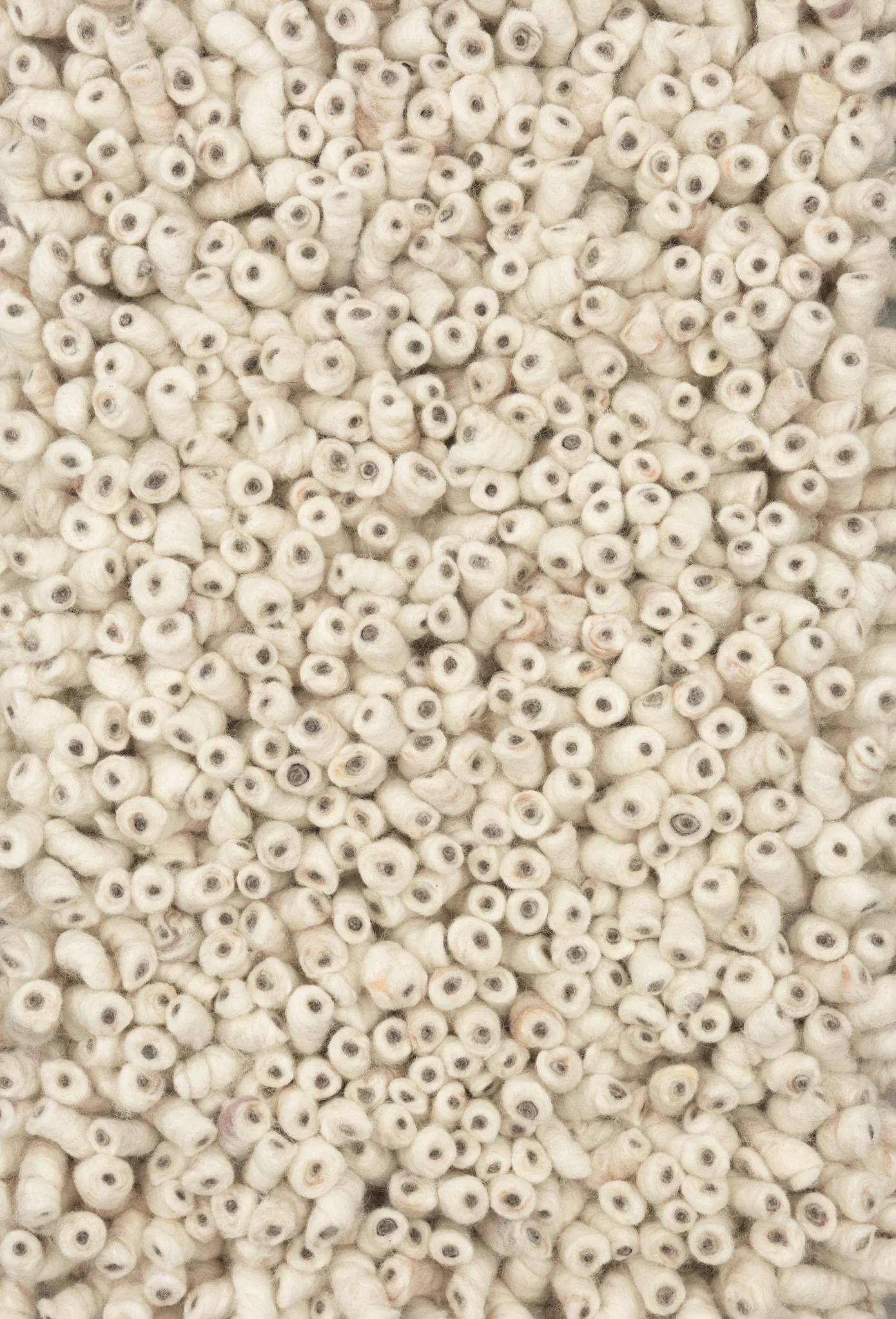 sasgro_460_87125