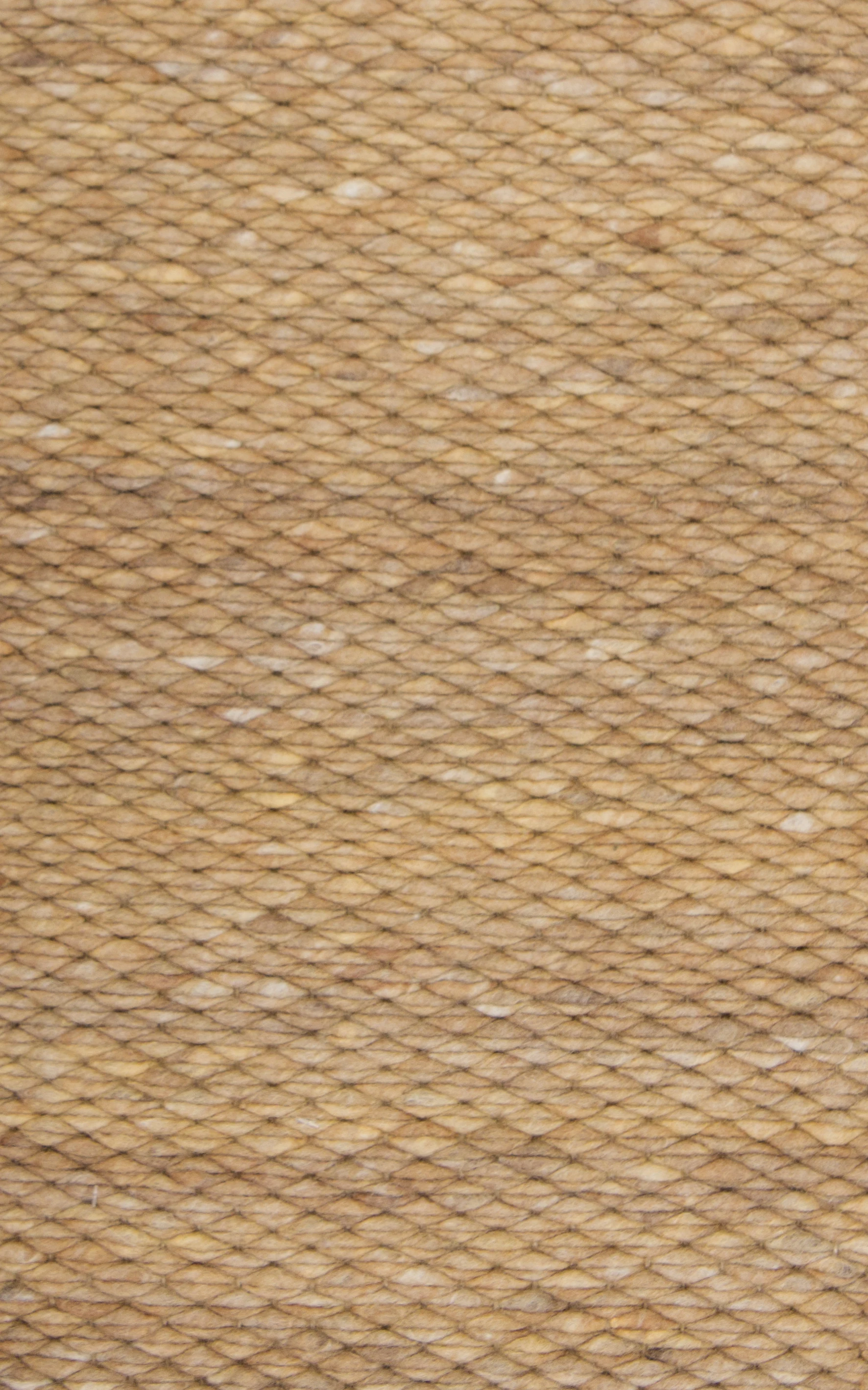 mozdue_169_169_fp_94730